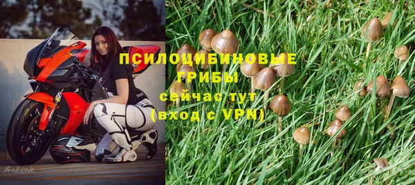 мдпв Балабаново